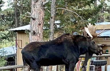 Family & Dog Welcoming Lodge with Hot Tub & Games - Foto 53