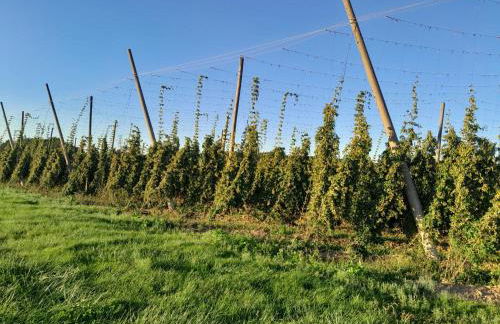 Idyllic apartment in Bavaria, near Munich, Freising, Erding - Foto 13