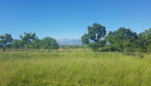 Savršen odmor u Villa Ivona - Foto 3