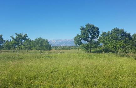 Savršen odmor u Villa Ivona - Photo 3