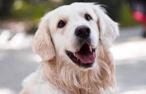 Modern apartment with 2 bathrooms in Lirstal - Foto 52