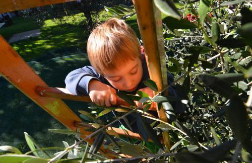 Residence La Colombera - Foto 25