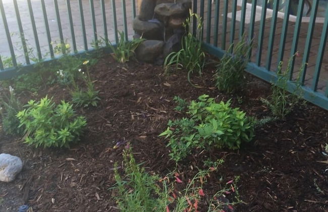 Mountainback at Mammoth - Foto 36