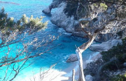 Fenile Apartments - Foto 59