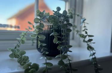 Guildhall - Beauluxe Properties large property - 3 bedroom - 4 beds - sleeps upto 6 people - Foto 20