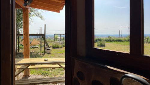 Associação Quinta das Relvas - Foto 5, Garden