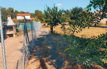 Villa Ginzo - Foto 22