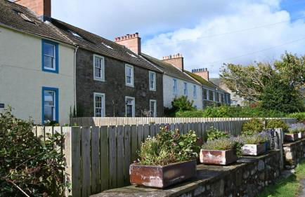 Little Egret - Foto 25