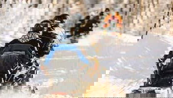 Snowmobiling in Kätkä - Foto 1