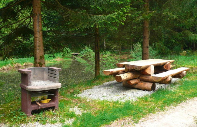 Apartment in a Charming Location on Forellenhof, Zorn Valley, Dabo - Foto 56