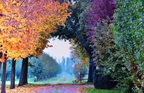 Agriturismo La Lupa - Photo 33