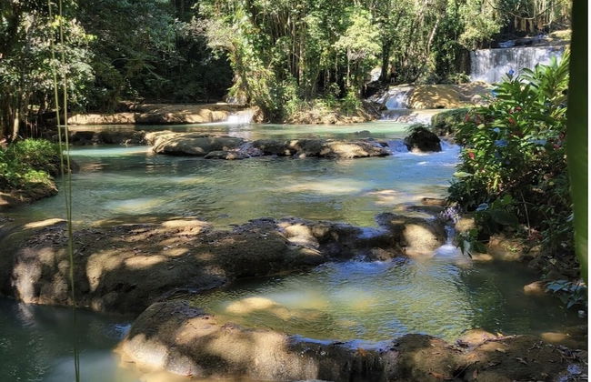 Seacret Studios - Cozy Jamaican Retreat Apts by RedAwning - Photo 23