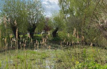 Historisches Bauernhaus für 8 Personen mit Luxus und Natur auf 2 Etagen ideal für Familien und Hunde 2500m2 eingezäunt an der Ostsee - Foto 48