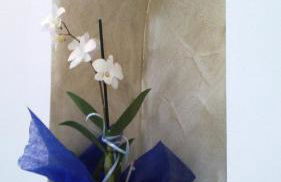 Appartamento Il Soffio Di Eolo - Foto 34