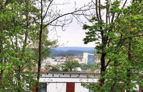 BohnApartments - Stadtblick Zechenhaus - Balkon - Parkplatz - WLAN - sehr ruhig - barrierearm - Foto 39