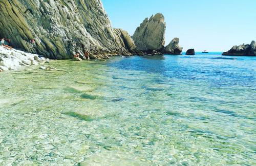 Endless Summer - Foto 1