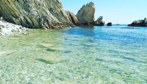 Endless Summer - Foto 1