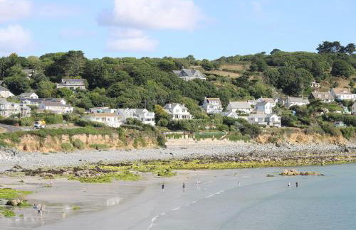 Gannet Watch - Foto 15