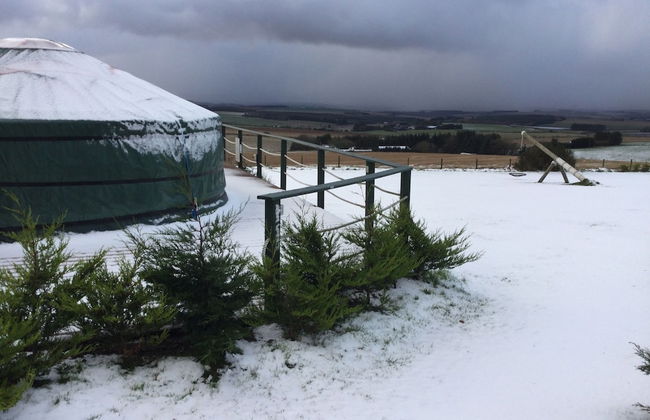 Green Yurt With Hot Tub - Sleeps 3, Parking & Wifi - Photo 36