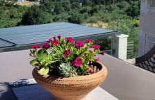 Splendid Villas and Family Resort - Foto 14