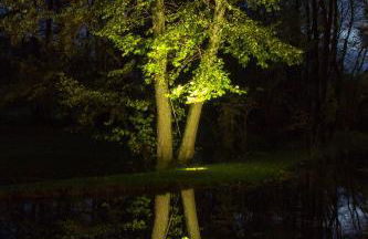 Michels Mühle - wieder Land sehen - Foto 40