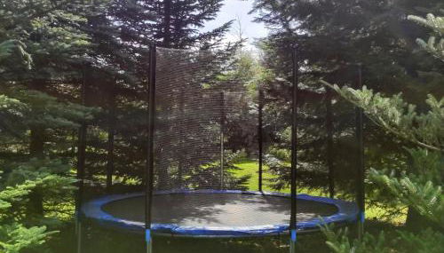 Ferienhaus Birkholz Harz - Foto 3