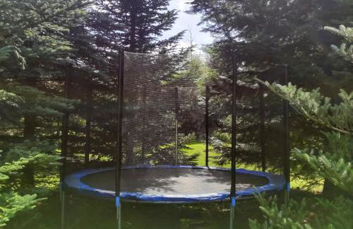 Ferienhaus Birkholz Harz - Foto 3