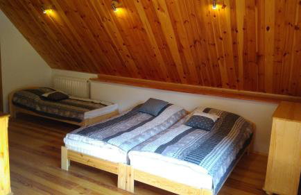 Cztery Pory Lasu - Foto 4