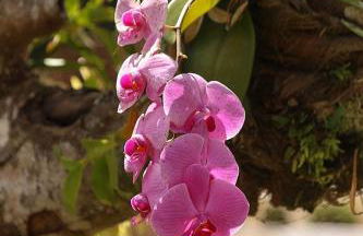 Chales em Salesopolis - Recanto da Barra - Foto 61