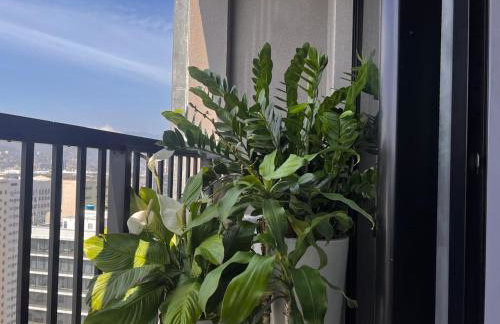 Studio na Árvore no Centro do Rio - Foto 28