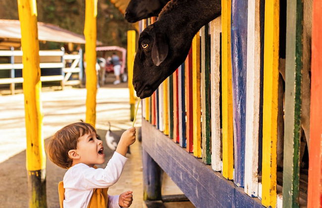 China Park Eco Resort - Foto 65