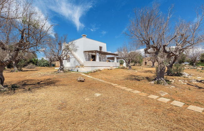 3621 Tenuta Terra del Sole by Perle di Puglia - Foto 28