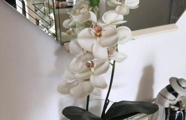 Le Giare House - Photo 18