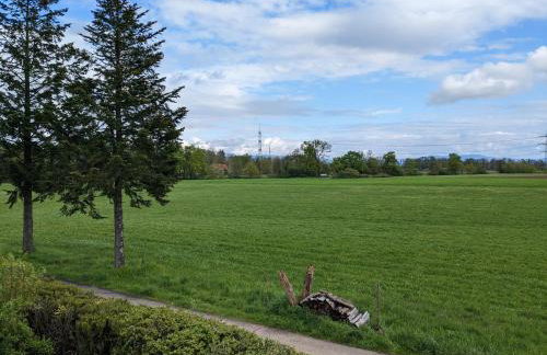 Badischer Neubau-Ruhe-Kunst-Natur - Foto 80