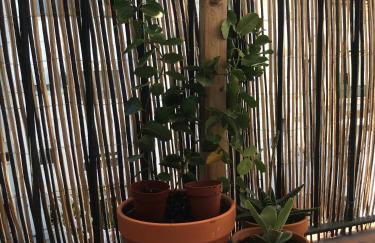 Appartement Elsa Valencia - Photo 43