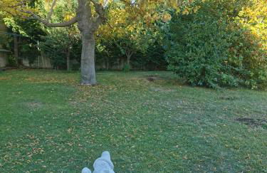 Cal Castro fantástica casa familiar - Foto 28