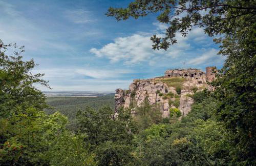 Harzer Feriengarten - Foto 71