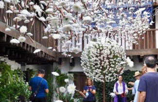 FUENSANTA 19 - Foto 48