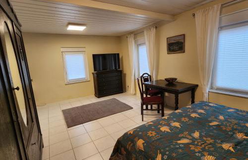 Schönes Studio mit Küche, frisch renoviert - Foto 1