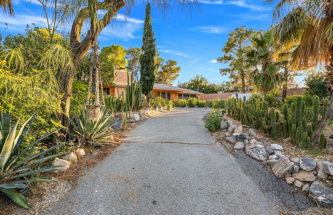 The Juniper - Foto 32