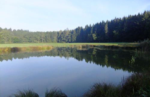 Zehentmayrhof - Photo 66