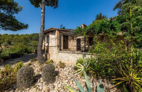 Es Colomer - Foto 32