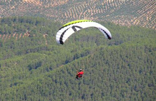 Casa Rural Doña Carmen - Foto 49