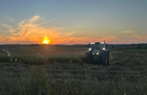 Casas do Monte - Foto 18