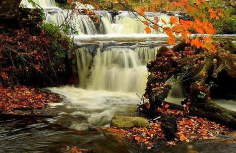 Lakefront, Hot Tub, Heated Pool, Beach, Free Boats - Foto 21