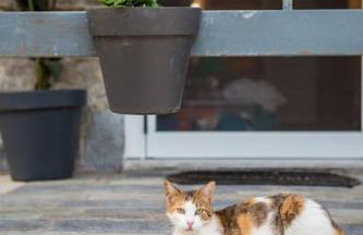 Greece Seaside villa 200sq m 20m from sea - Foto 35