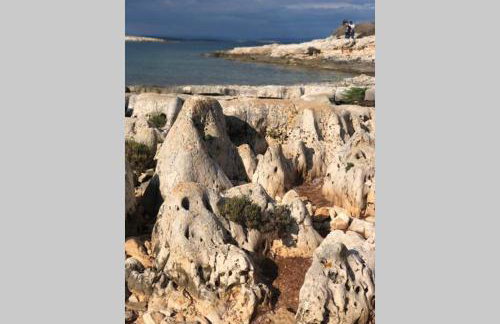 Villa Stanzietta Novigrad for 10 at Olive orchard - Foto 54