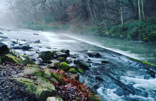 Ferienhaus Sötenicher Mühle - Photo 24