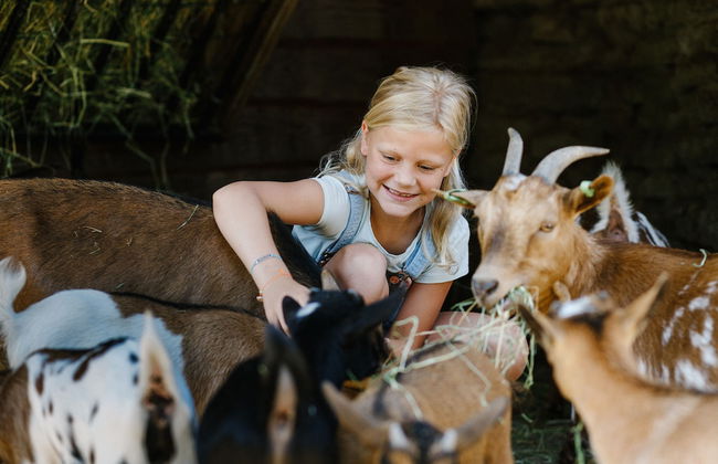 Vakantiepark Dierenbos - Photo 19