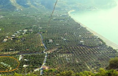 Agriturismo Antichi Ulivi - Foto 35